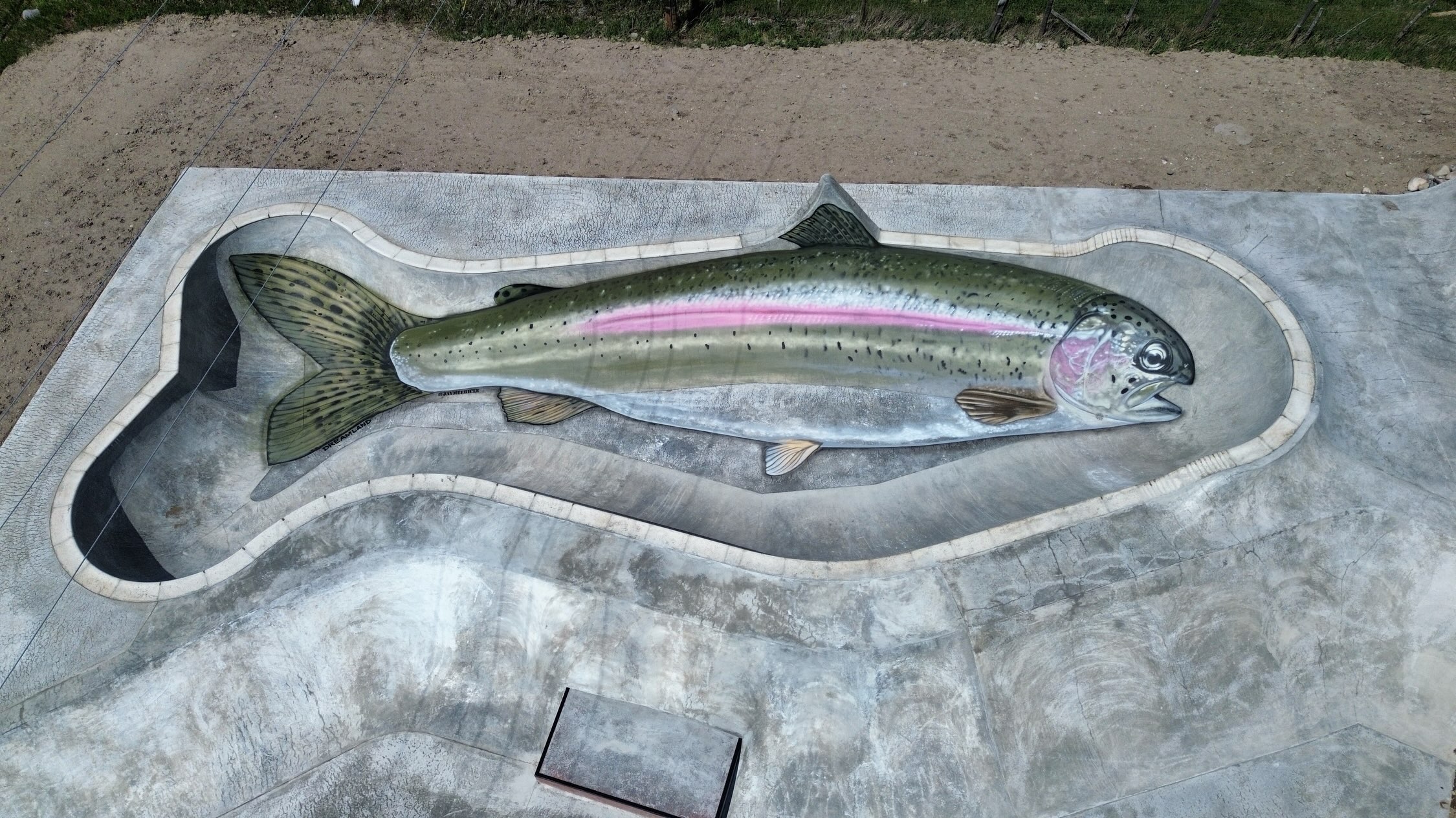 Looking straight down on the new Ennis bowl, shaped like a trout, with a rainbow trout painted across its floor.